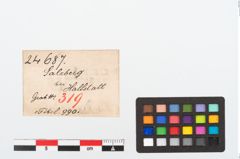 Etikett zu Bronzebrillenfibel (NHMW-PRAE-024687)